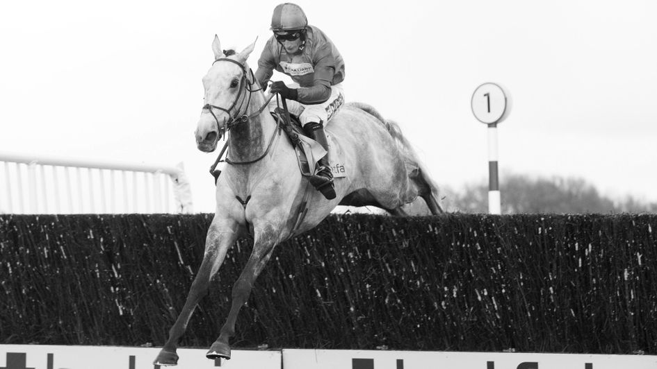 Bristol De Mai: Going for his fourth win in the Betfair Chase