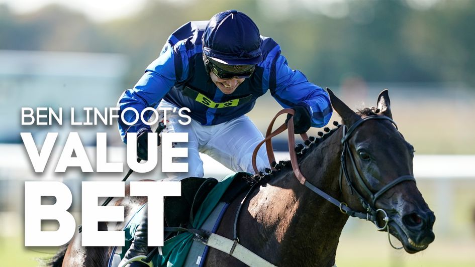 Trixster features among the Value Bet selections