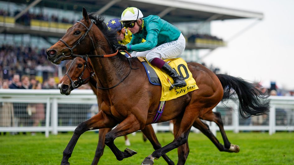 Remarquee defies her inexperience to win at Newbury