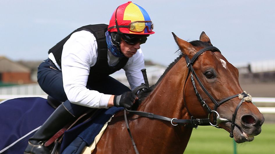 Cracksman works at Newmarket