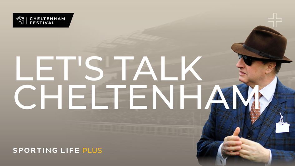 Where will Lossiemouth run at Cheltenham?