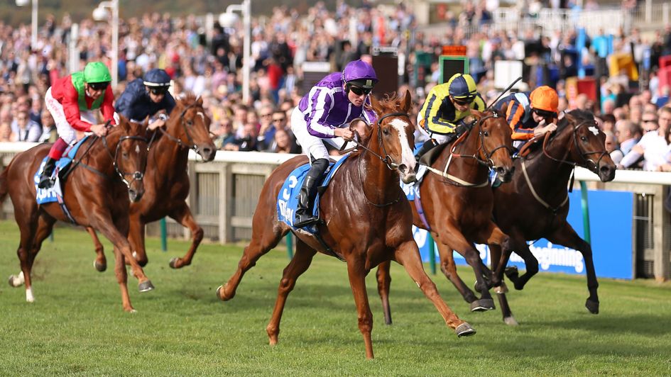 Norway lands the Zetland Stakes in decisive fashion