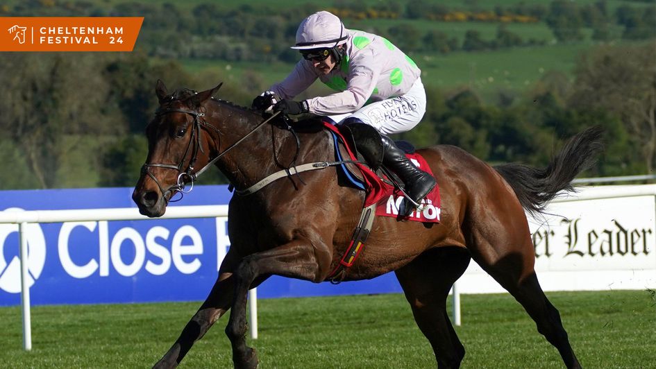 Could Gaelic Warrior win the Arkle?