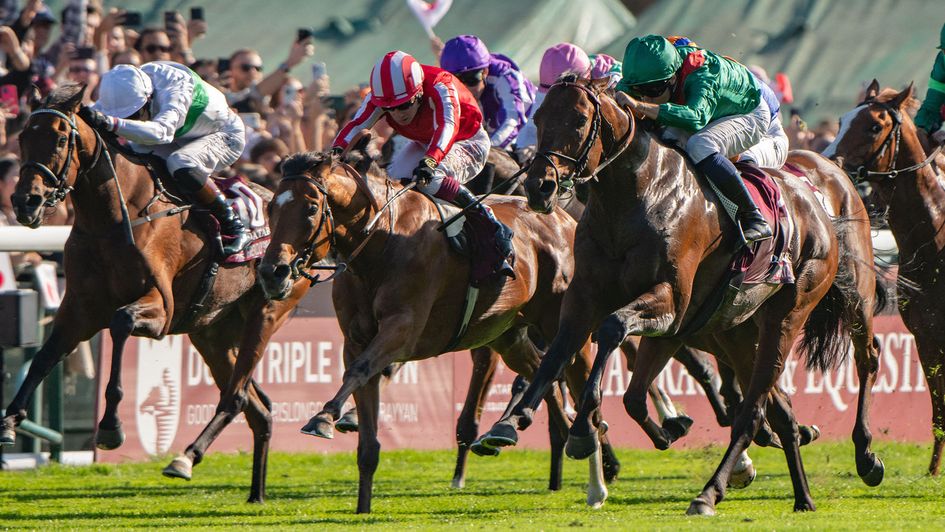 Bay City Roller (centre) gave it everything against Daryz in Sunday's Arc