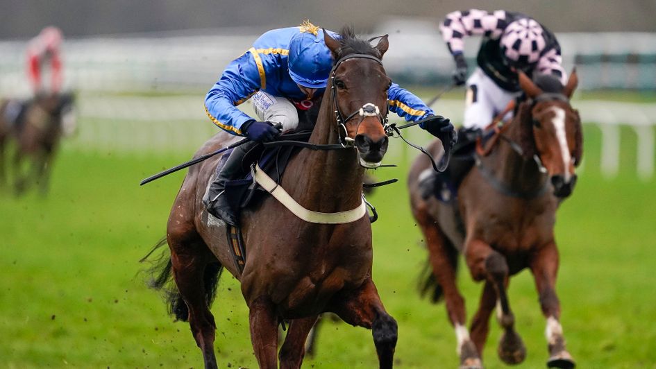 The Galloping Bear - landed gamble