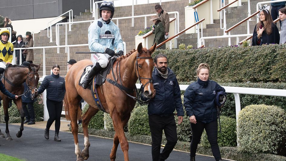 Leave Of Absence pictured after his Reynoldstown second at Ascot in February