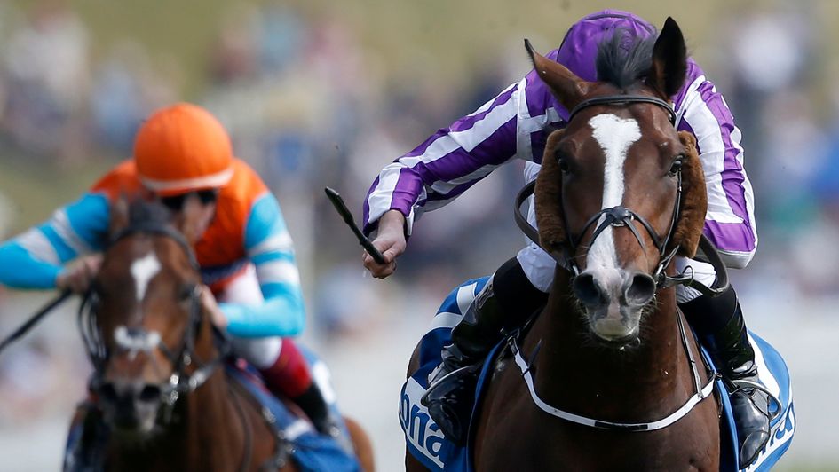 Venice Beach wins at Chester