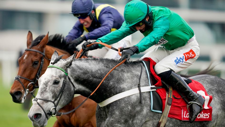 Caribean Boy has the measure of Fiddlerontheroof
