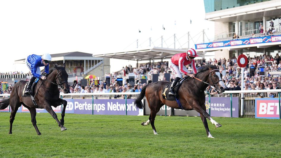 Saber Strike wins the Pertemps Network King Charles II Stakes