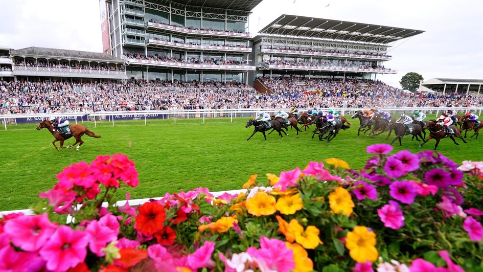 Dragon Leader is out on his own