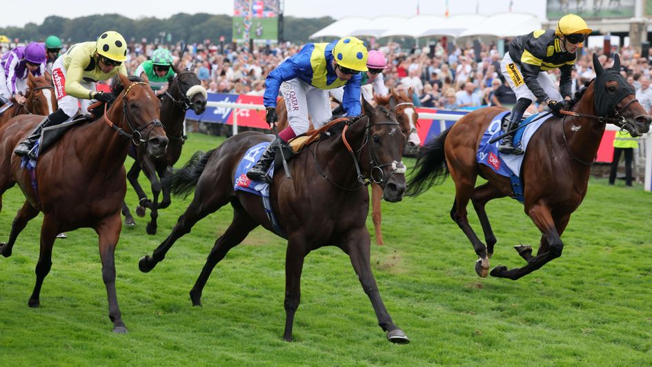 Never So Brave (centre) wins the Sky Bet City Of York