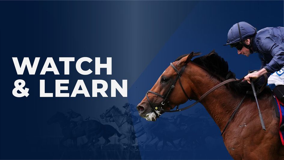 Read Graeme North on City Of Troy's Derby win