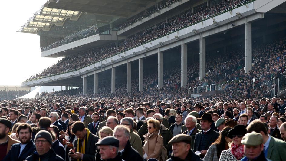 The grandstands were packed at Cheltenham last month