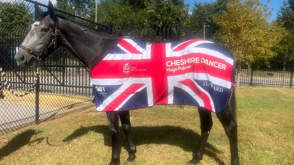 Chesire Dancer at Churchill Downs