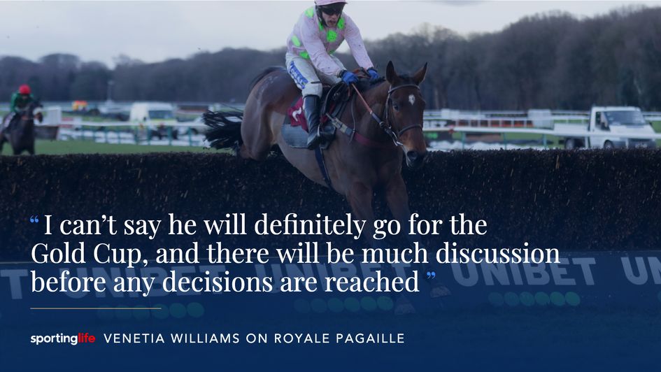 Could Royale Pagaille go for Gold at Cheltenham?