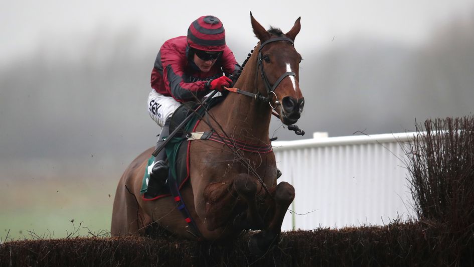 Eclair Surf is clear at the last at Warwick