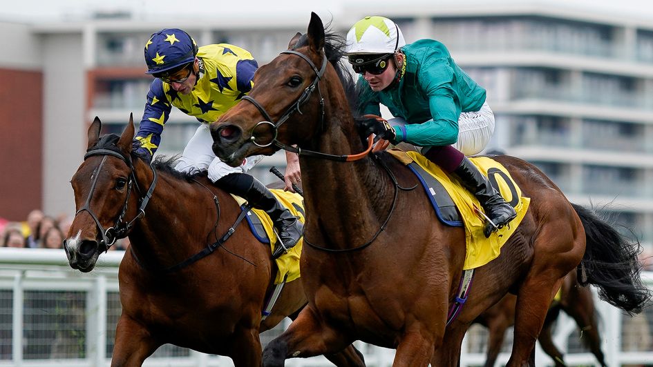 Stenton Glider (left) goes close at Newbury