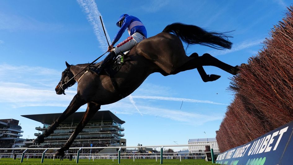 Can You Call soars over the last at Cheltenham