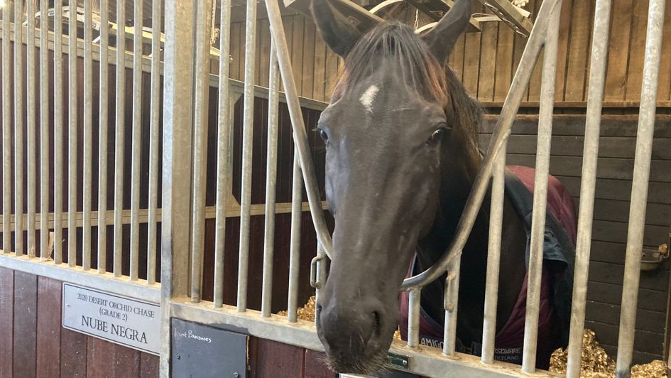 Nube Negra pictured in his stable