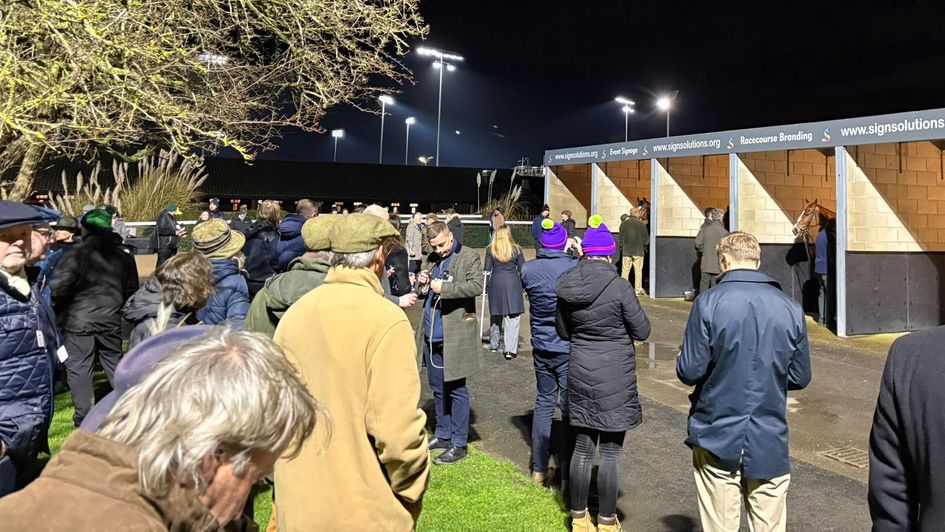 Crowds gather to see Constitution Hill saddled up