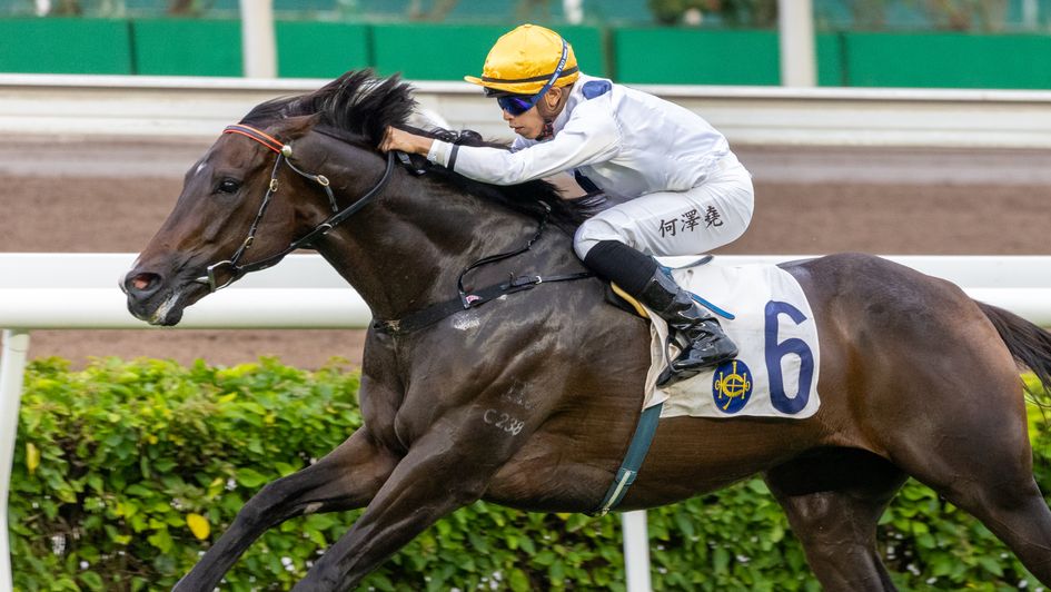 Golden Sixty in action