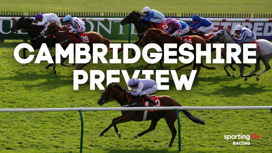 Horse-by-horse guide to the bet365 Cambridgeshire