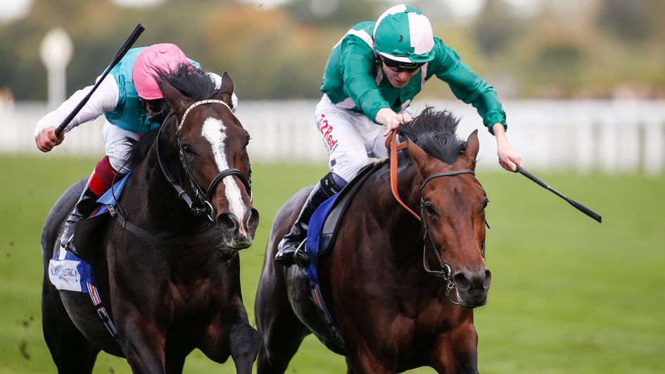 Weekender and Raheen House - clash at York on Saturday