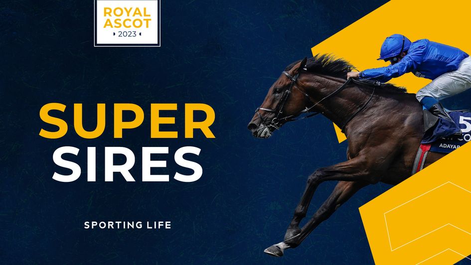 Check out our latest Royal Ascot features and tips