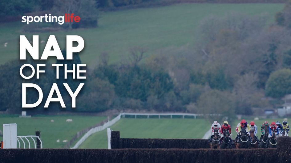 Check out the latest Nap selection