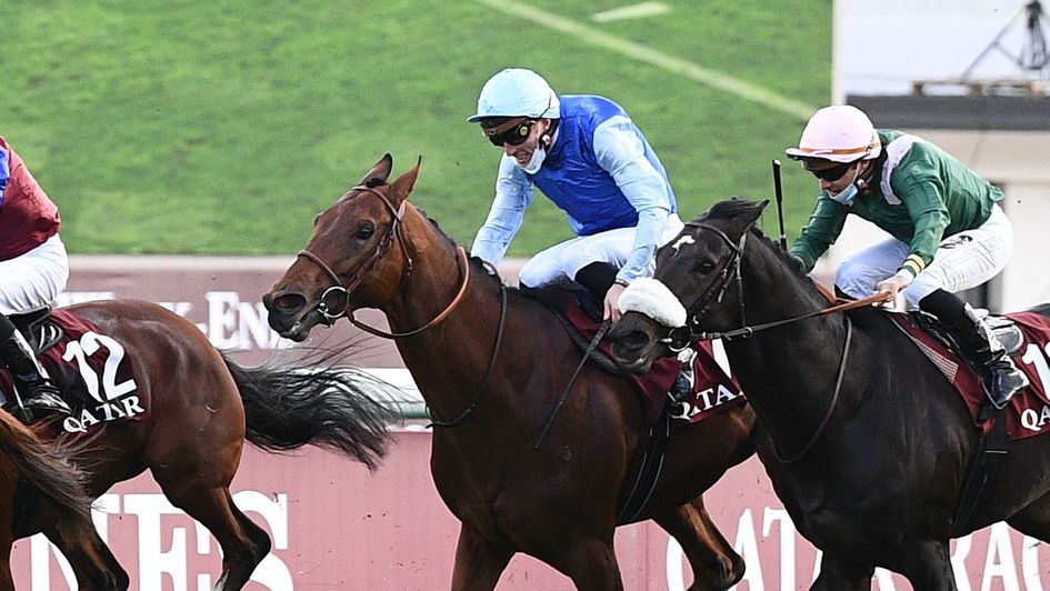 Persian King: Set for stallion duties