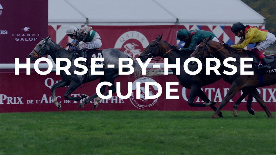 Who will follow in Alpinista's hoof-prints?