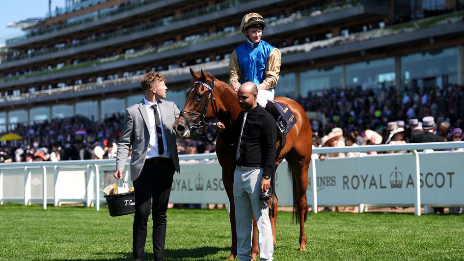 Crimson Advocate pictured after winning at Royal Ascot