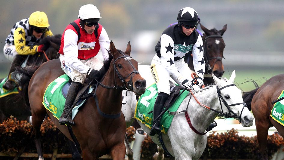 Molly Ollys Wishes gets the better of Martello Sky