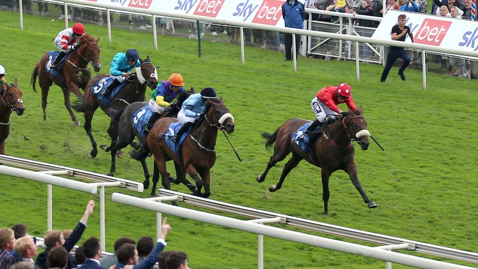 Blackrod gets up to win snugly at York