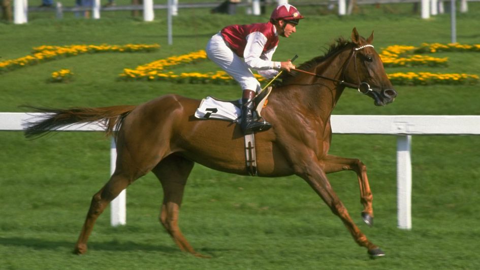 Oh So Sharp at Doncaster