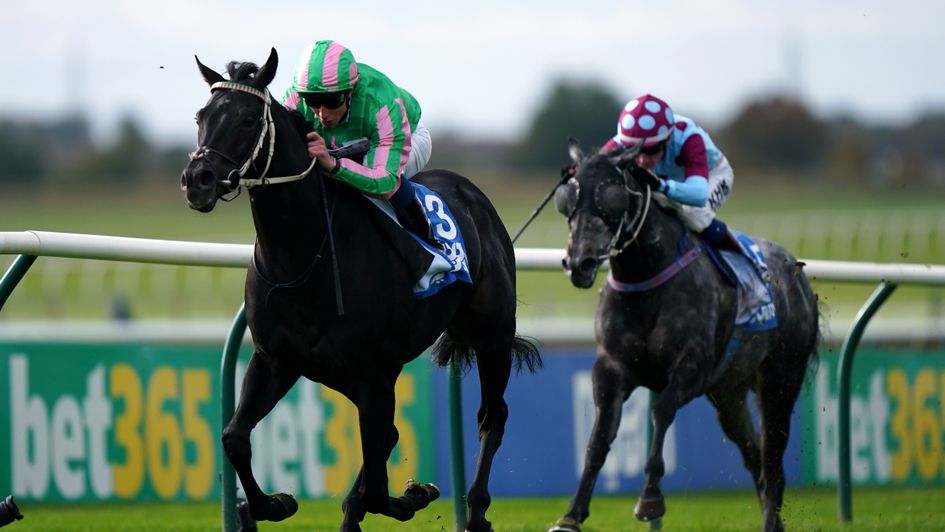 Pogo wins the Challenge Stakes