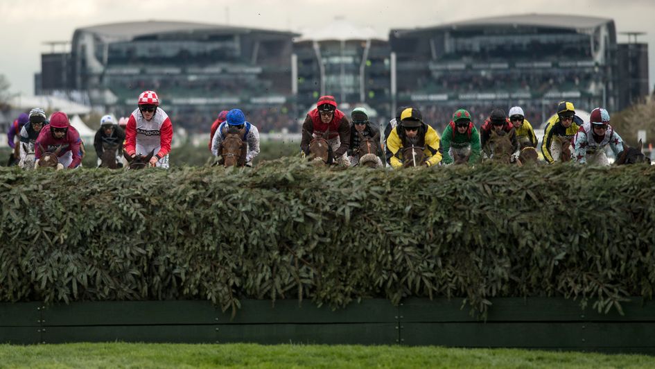 Horses prepare to negotiate Becher's Brook