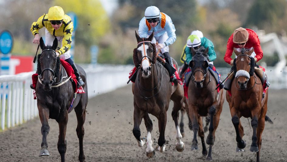 Align The Stars (left) wins at Kempton