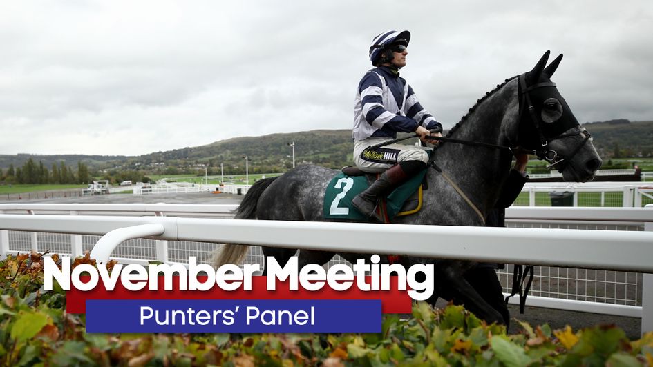 Don't miss the latest tips for Cheltenham