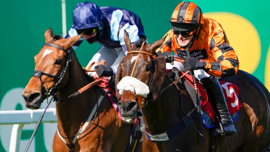 Younevercall wins at Sandown again