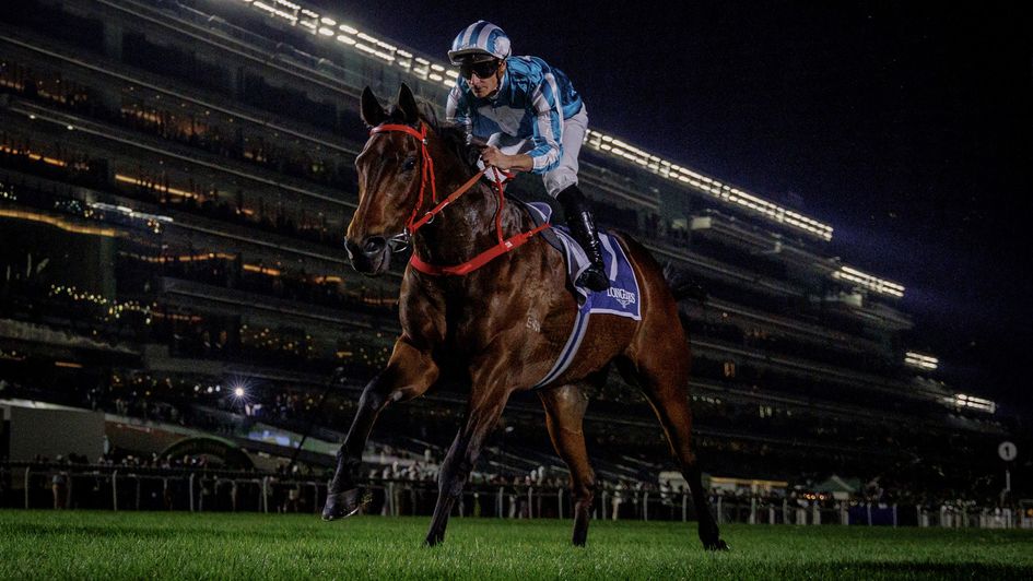 Romantic Warrior shines in the desert (Alex Evers for HKJC)