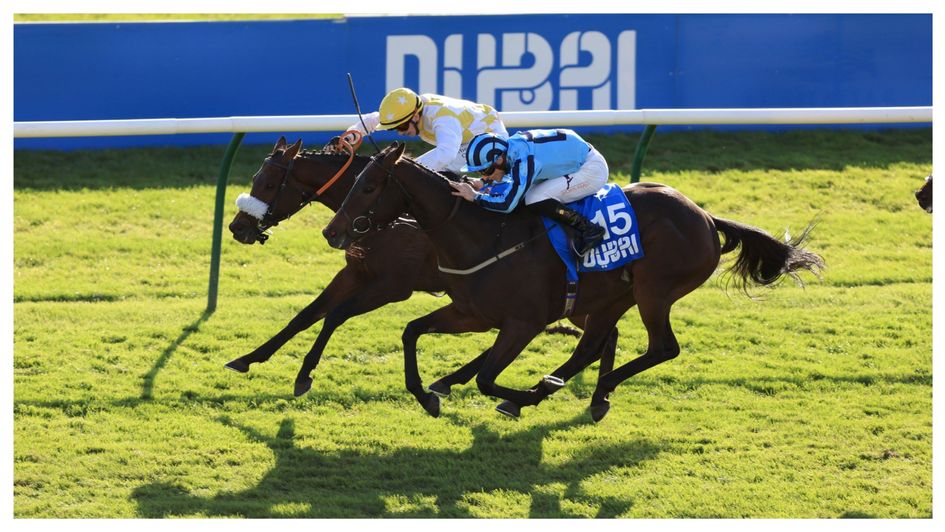 Alphonse Le Grande (far side) gets the better of Sea Lantern