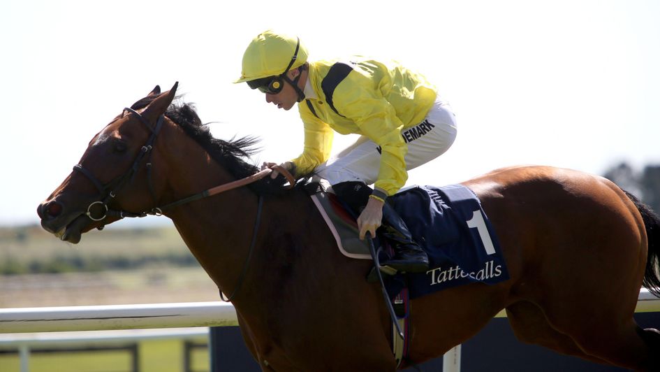 Almaqam and Kieran Shoemark win the Tattersalls Gold Cup