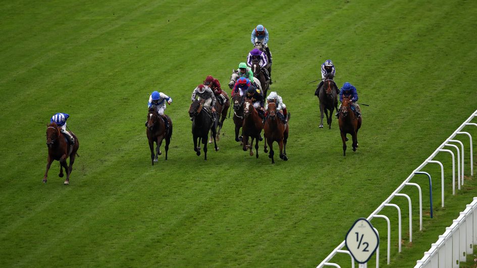 Ropey Guest (second left) was a good fourth in the Jersey Stakes