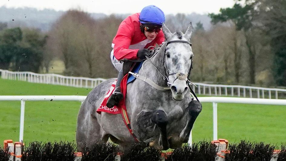 Tullyhill in action at Punchestown