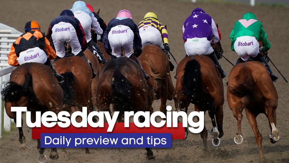 Check out the latest daily tipping preview
