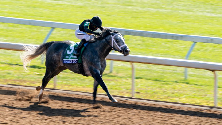 Knicks Go powers to victory in the Dirt Mile