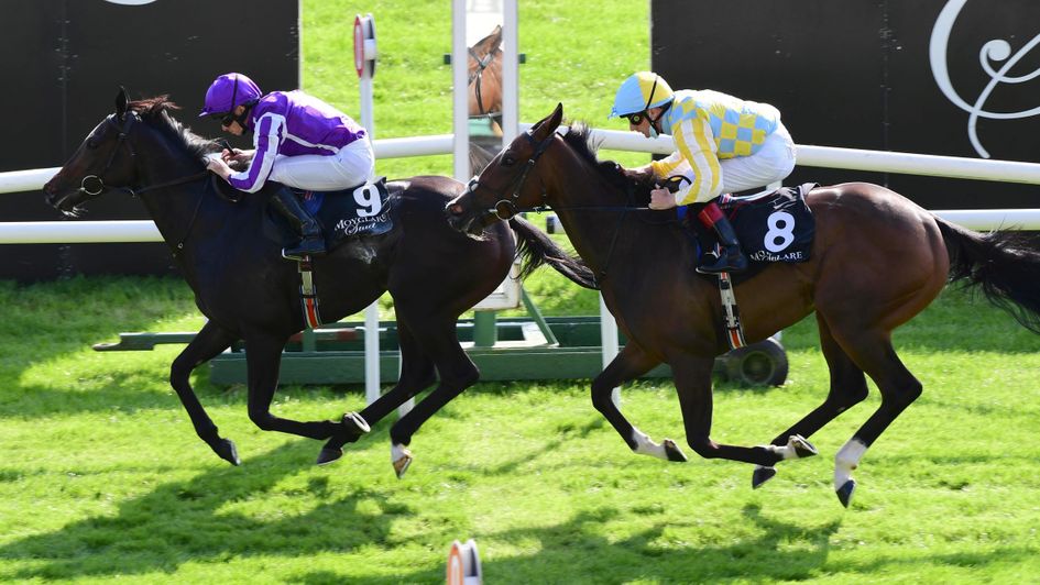 Shale (left) gets the better of Pretty Gorgeous