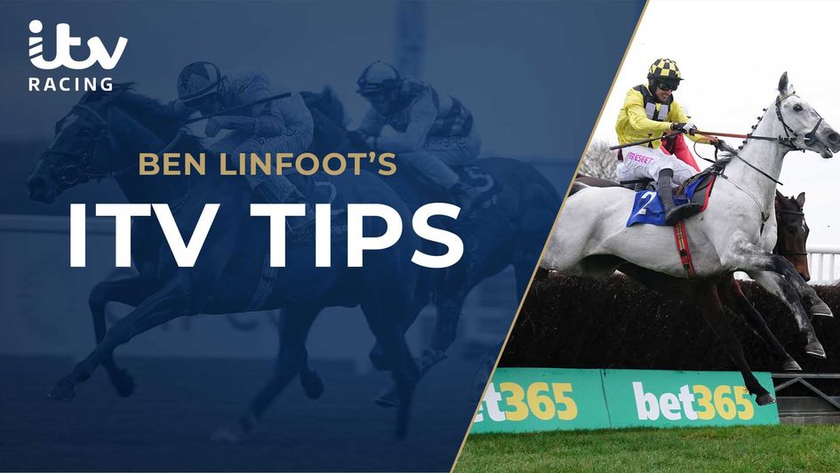 Gumball can go well at Ascot