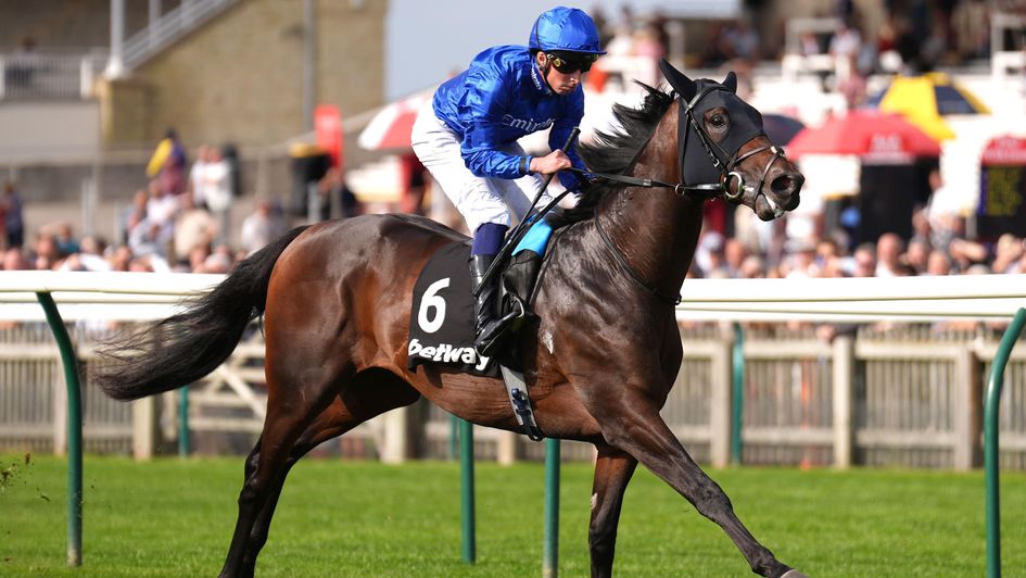 Talk Of New York routs his Joel Stakes rivals